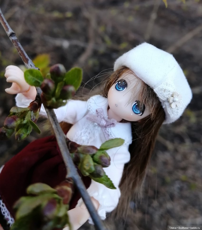 О снегопаде, цветах и новогодней сказке (фото 2)