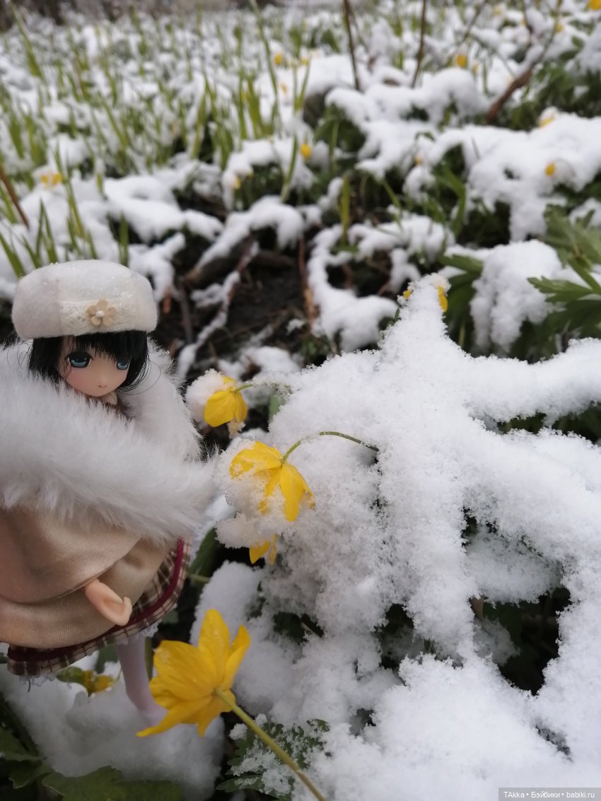О снегопаде, цветах и новогодней сказке (фото 4)