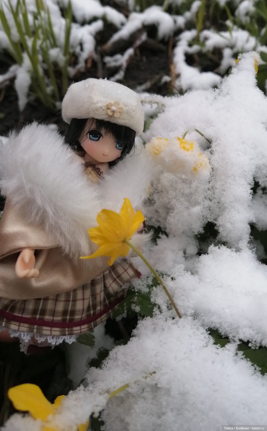 О снегопаде, цветах и новогодней сказке (фото 7)