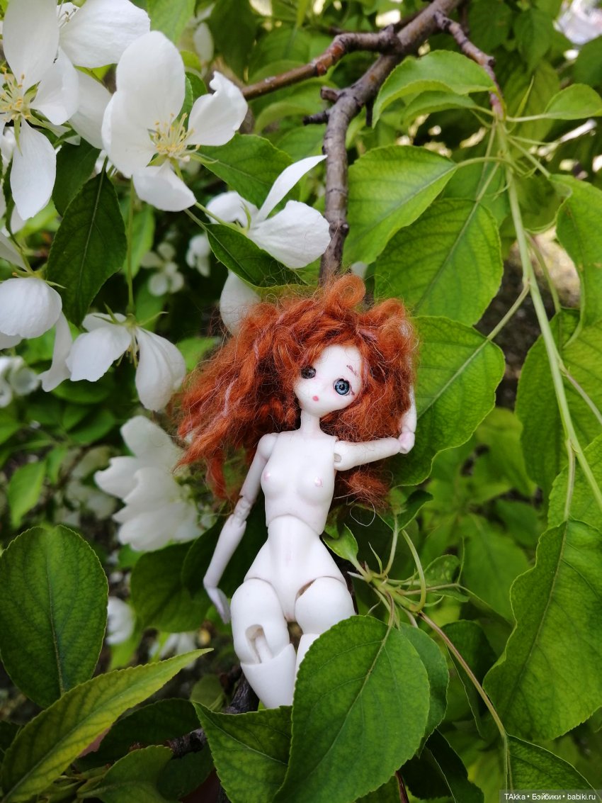 3D-команда, или Карнавал-девятый вал накатил и не отступает (фото 3)