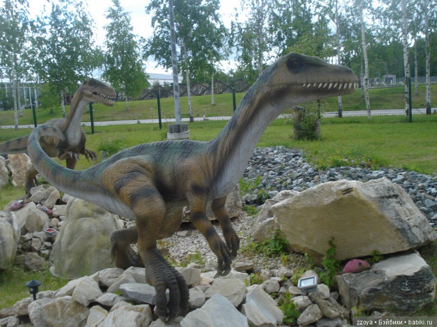 Александра в парке динозавров. Мисс Бэйбики 2019 (фото 9)