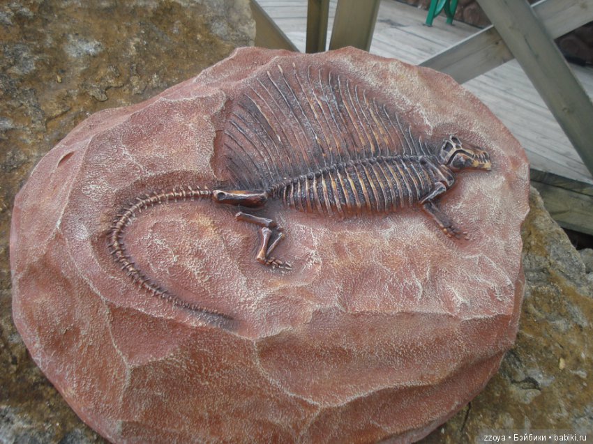 Александра в парке динозавров. Мисс Бэйбики 2019 (фото 10)