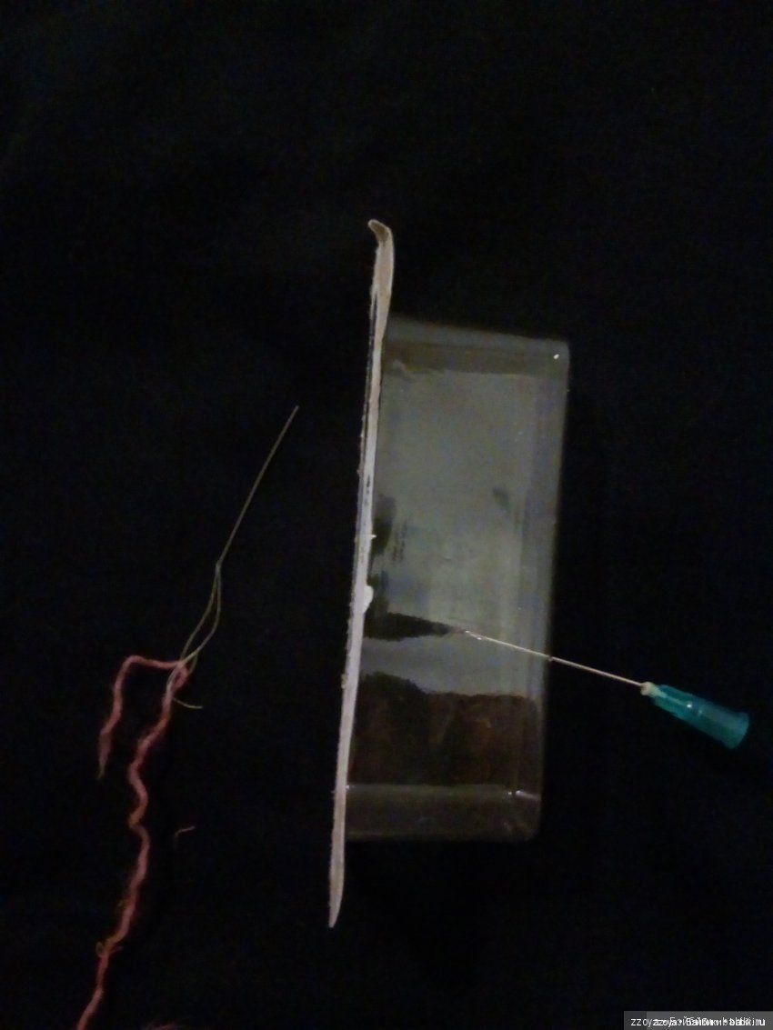 Новенькая — Куклы Barbie (Барби): Looks