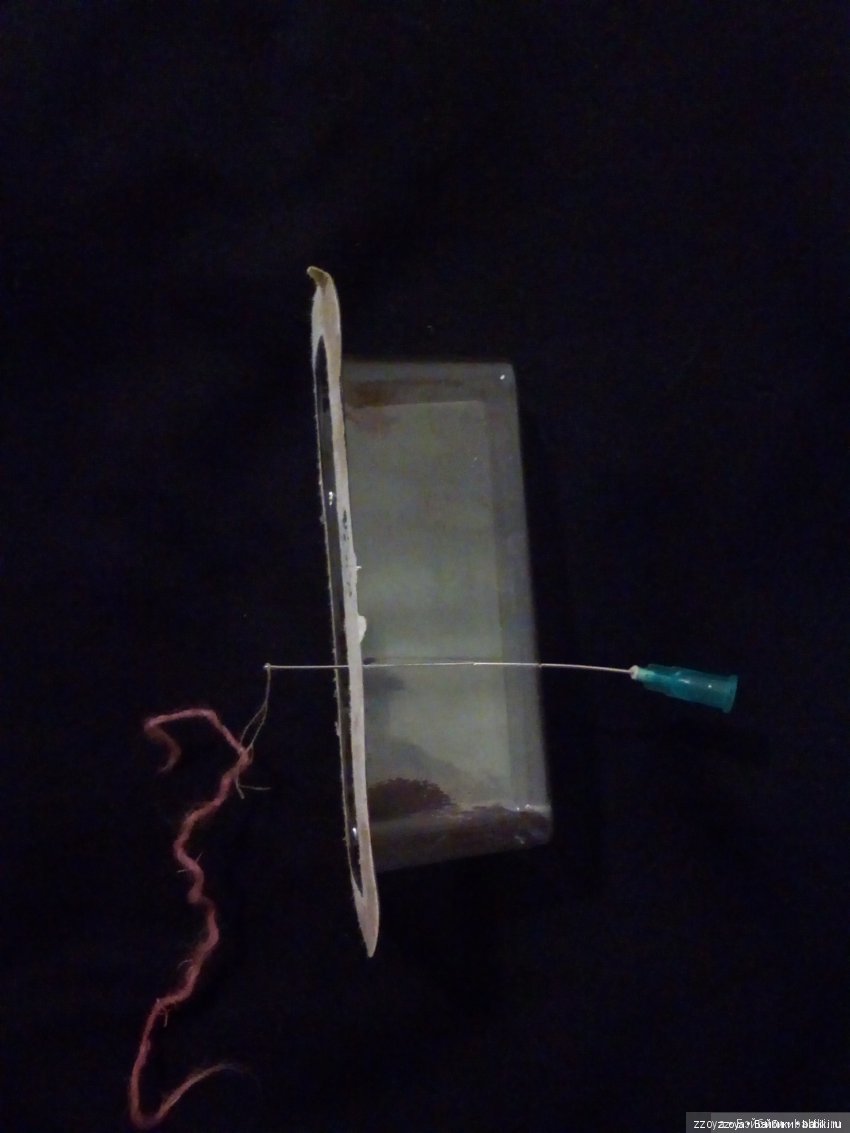 Новенькая — Куклы Barbie (Барби): Looks