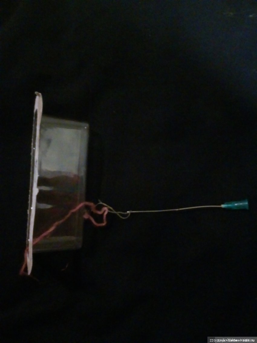 Новенькая — Куклы Barbie (Барби): Looks