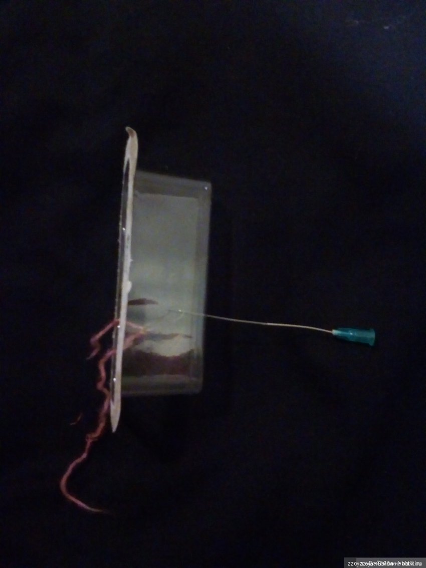 Новенькая — Куклы Barbie (Барби): Looks