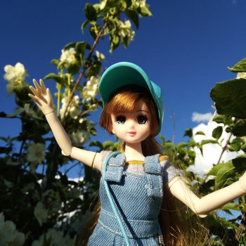 Июньский букет