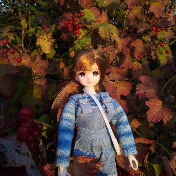 Сентябрьское солнышко