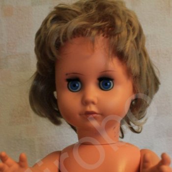 Помогите понять, кто едет в новый дом?