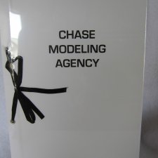 Истории, придуманные Робертом Тоннером. Часть 3. Агентство Чейз и не только