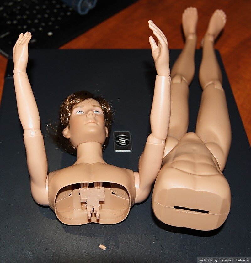 Истории и каталоги Роберта Тоннера, информационный пост