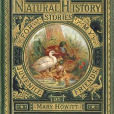 Дополнение к мастер-классу "Твердый переплет"