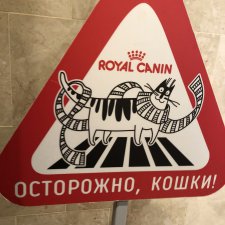 Я Большая маленькая