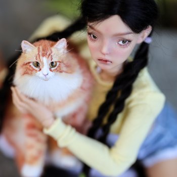 Мы украли кота (Jacoosun Josephine)