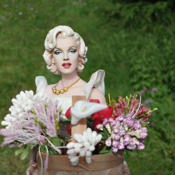 Мэрилин Монро 99!