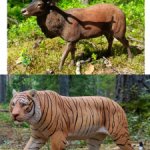 Тигр и Олень JXK 1/6.