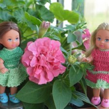 Мои малышки Еви