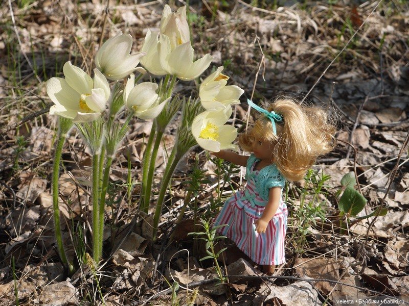 Мэриэллен среди цветов — American Girl Mini: Куклы 16 см (фото 3)