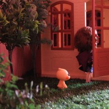 Все лето в один день!