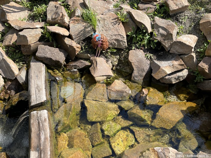 Зелень, солнце и огромные глаза (фото 10)