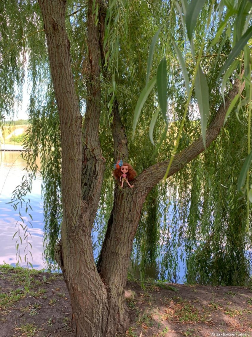 Зелень, солнце и огромные глаза