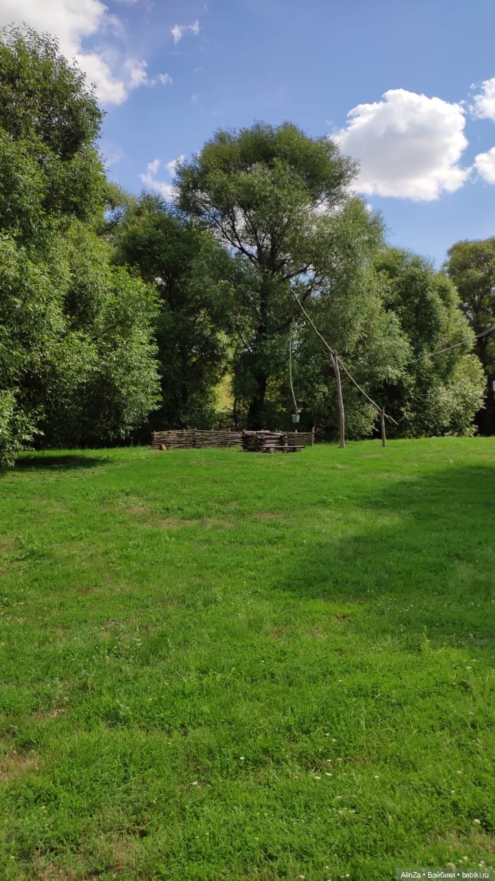 Зелень, солнце и огромные глаза