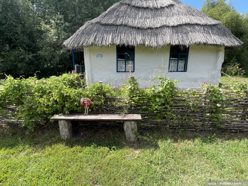 Зелень, солнце и огромные глаза