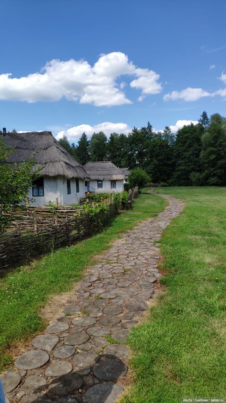 Зелень, солнце и огромные глаза