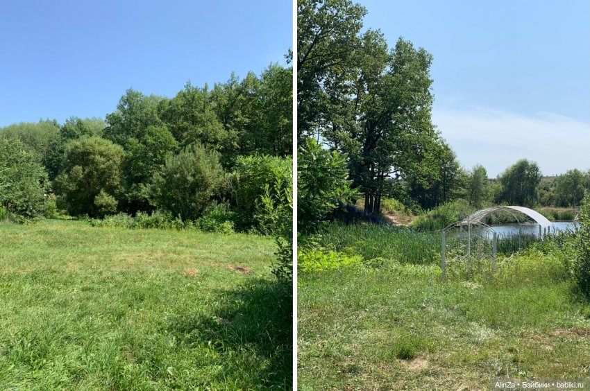 Леди и автомобиль. Летний пикник