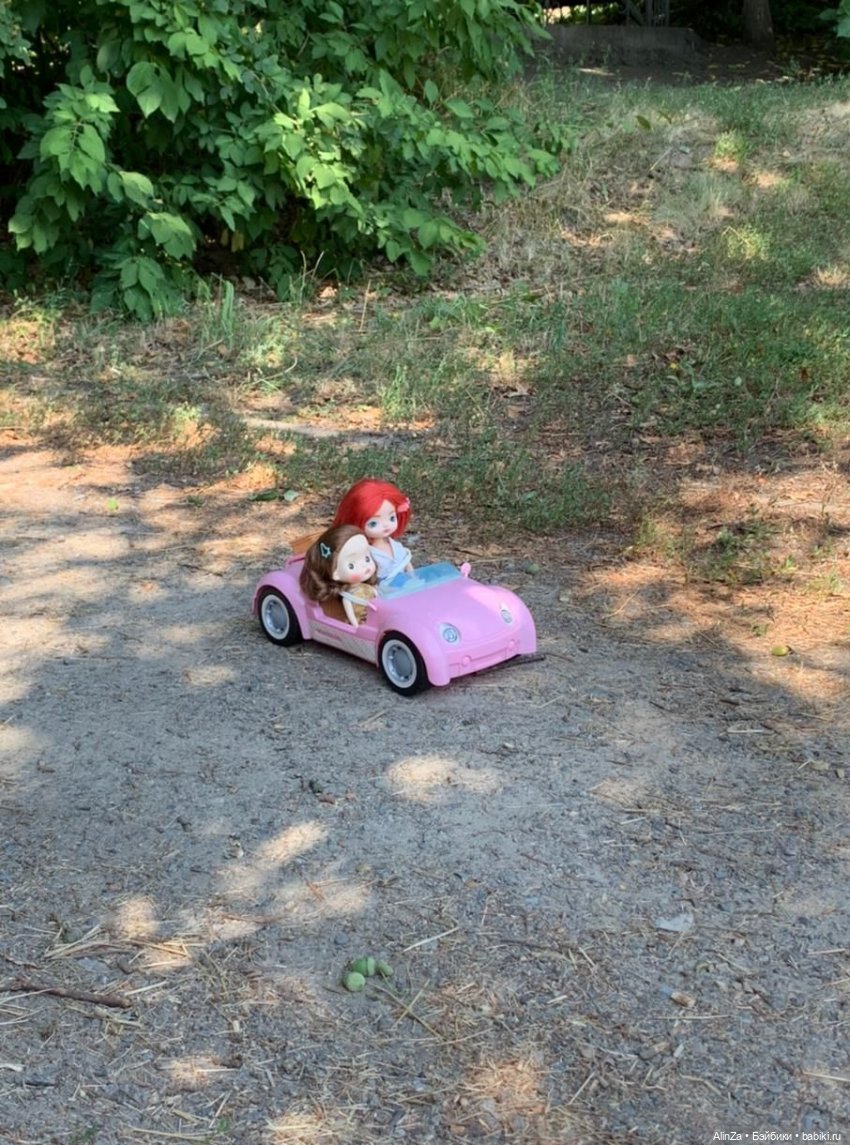 Леди и автомобиль. Летний пикник