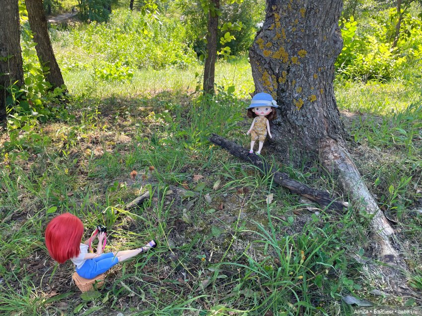 Леди и автомобиль. Летний пикник