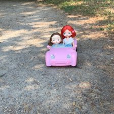 Леди и автомобиль. Летний пикник