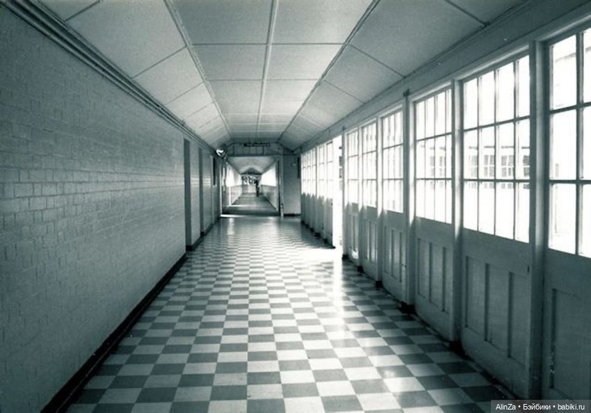 Потеряшка и лучший друг — Азиатские виниловые куклы (разное): Китай