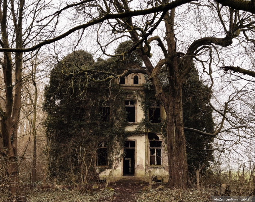 Потеряшка и лучший друг — Азиатские виниловые куклы (разное): Китай