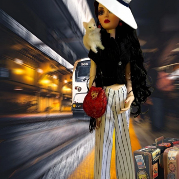 Сентябрьское воспоминание…