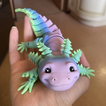 О приручении саламандр