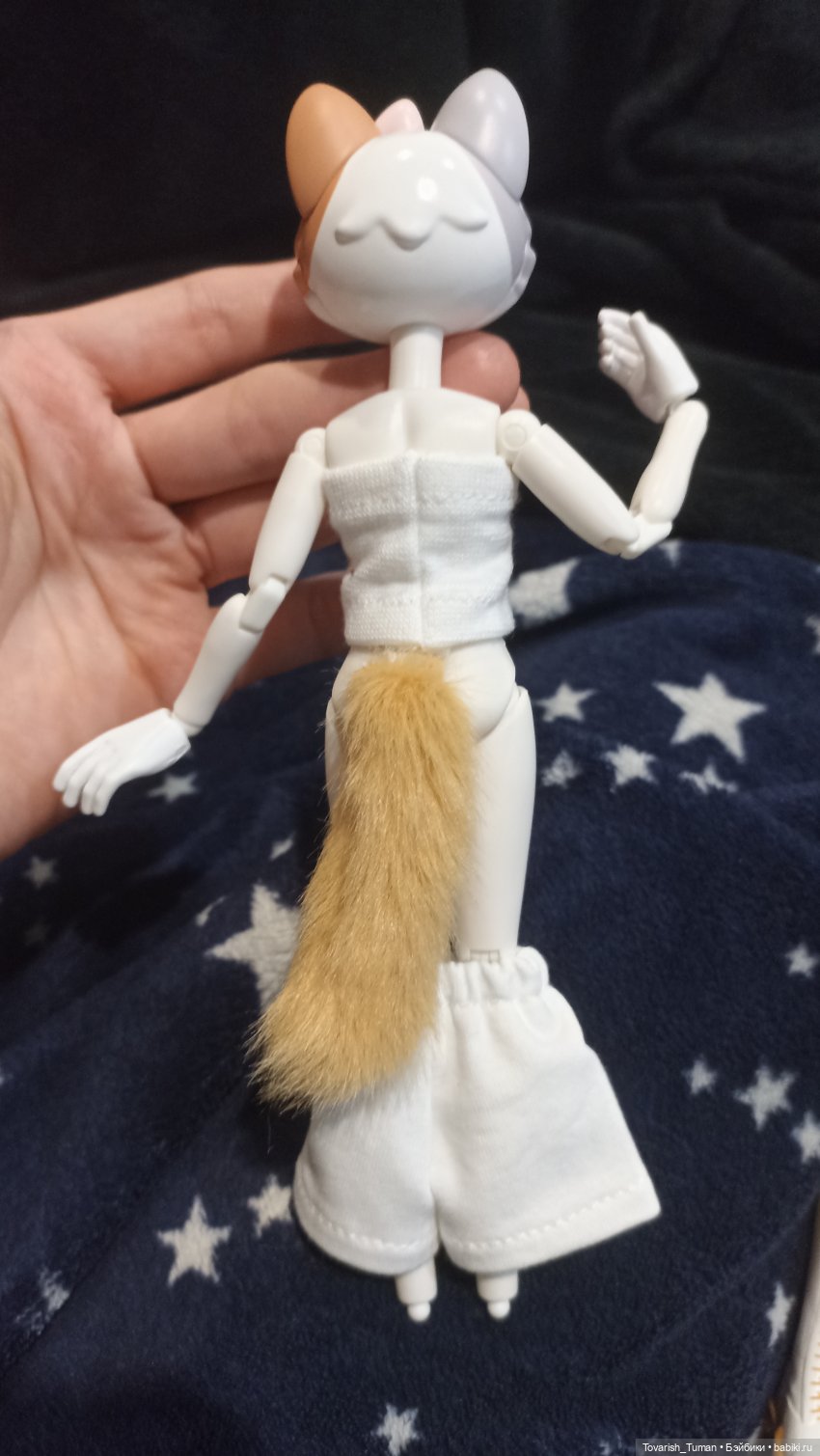 Обзор на шарнирную куклу-кошечку Tang от Come4Free & Come4Arts