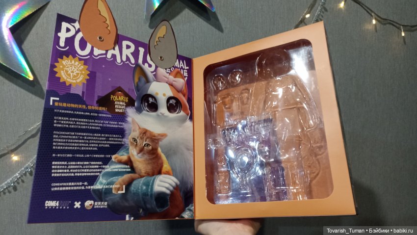 Обзор на шарнирную куклу-кошечку Tang от Come4Free & Come4Arts (фото 5)