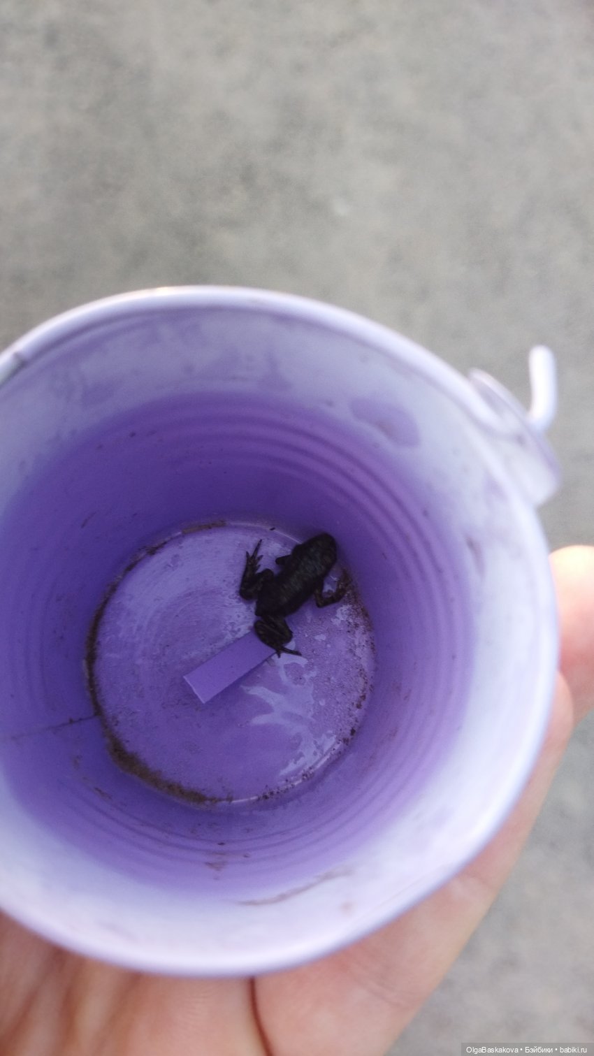 "Тоби приехал" или "Куклы на рыбалке. Как оно было"