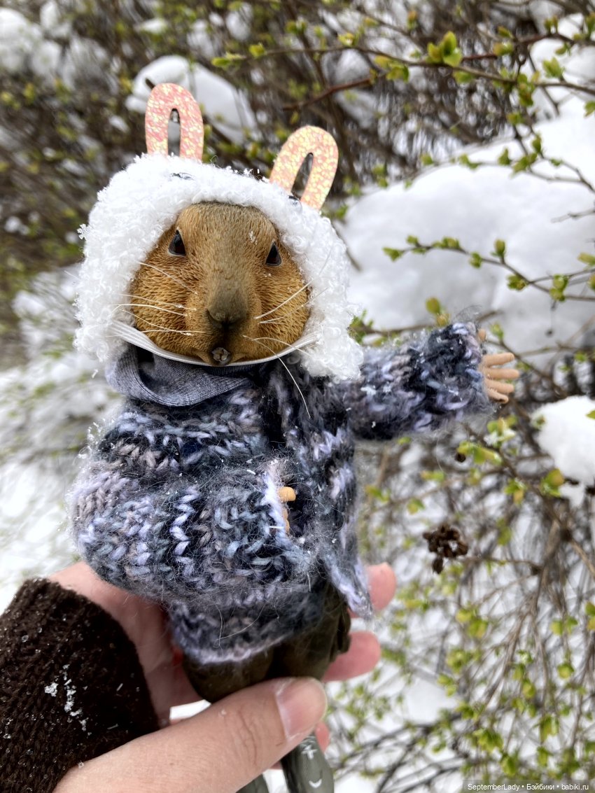 Как Картошка стала Редькой (фото 8)