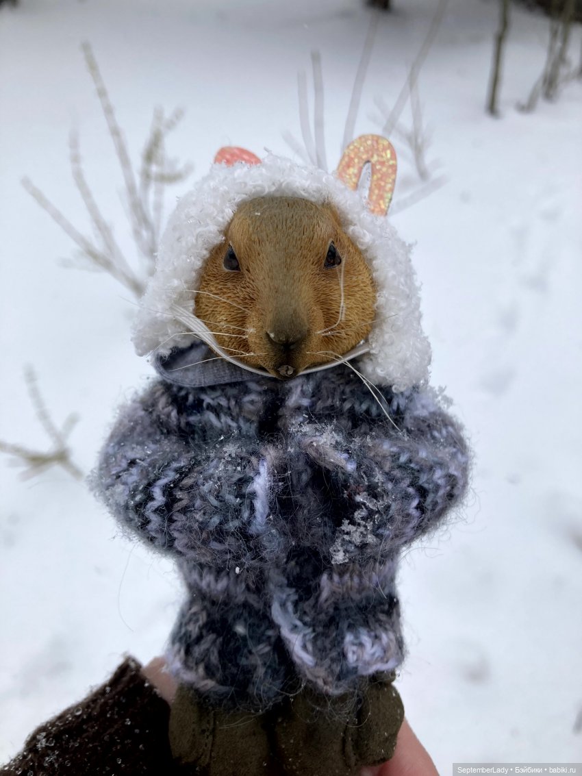 Как Картошка стала Редькой