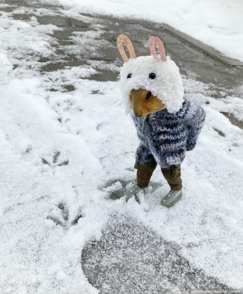 Как Картошка стала Редькой (фото 10)