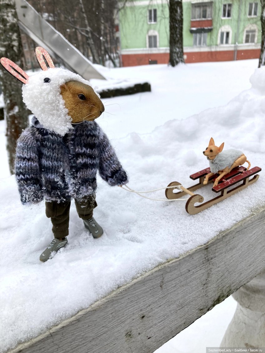 Как Картошка стала Редькой (фото 6)