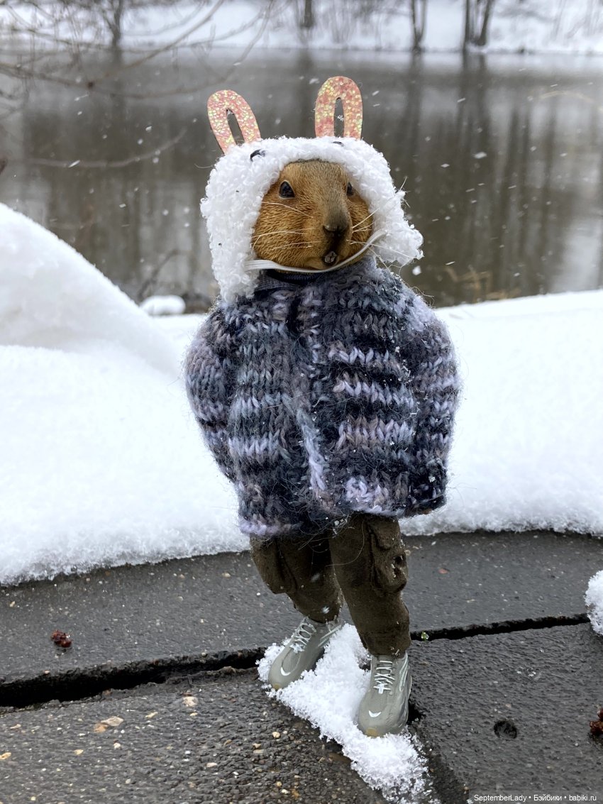 Как Картошка стала Редькой (фото 9)