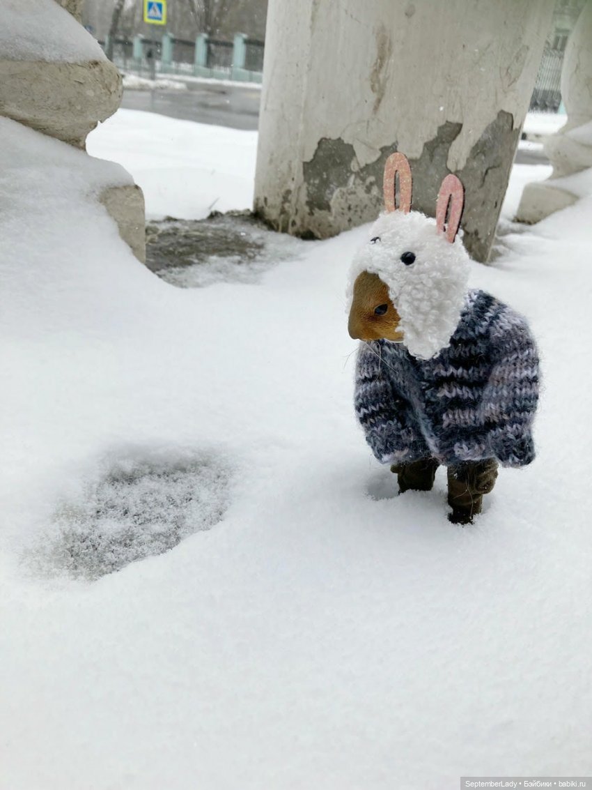 Как Картошка стала Редькой