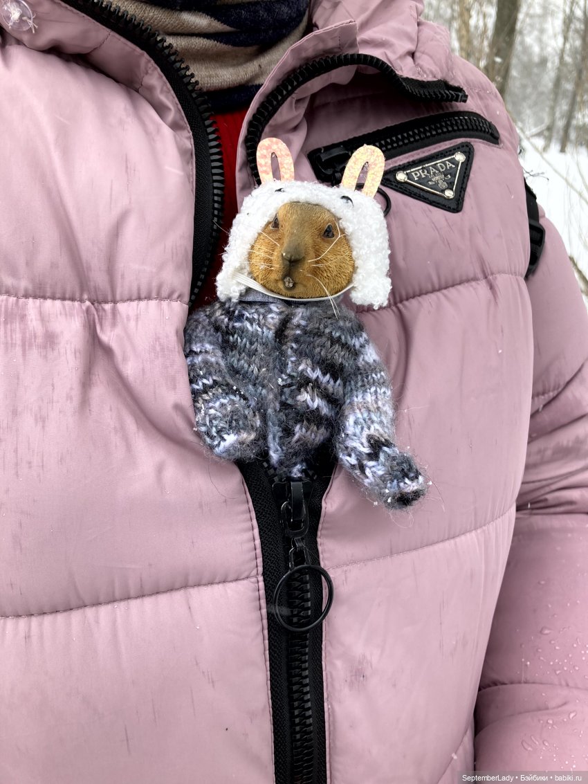 Как Картошка стала Редькой