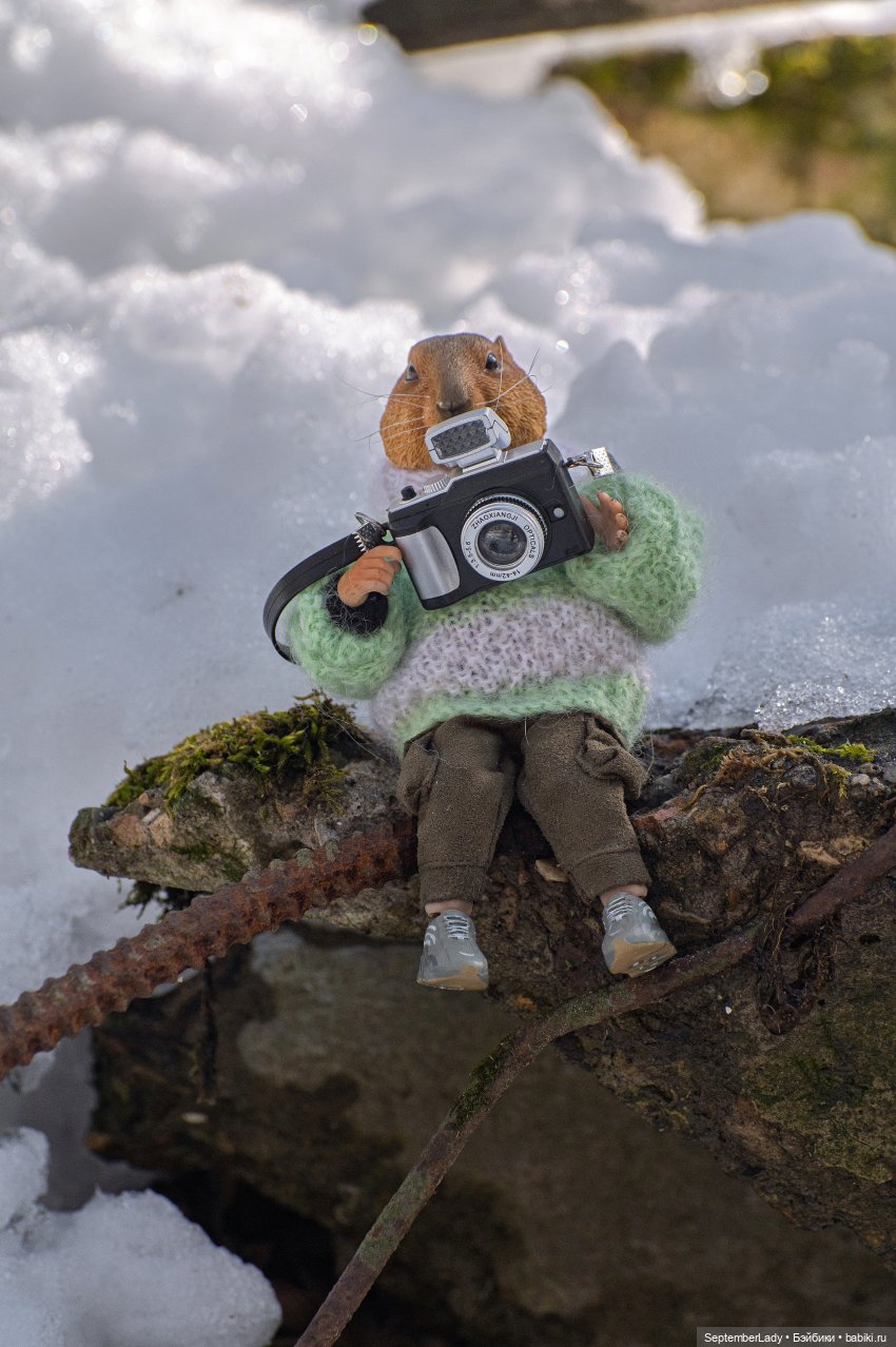 Прогулка по лесу — Коллекционные экшн (фото 3)