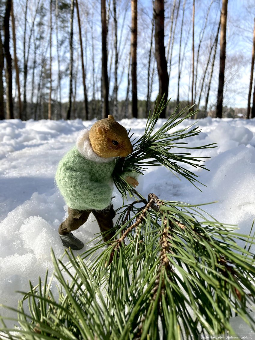 Прогулка по лесу — Коллекционные экшн
