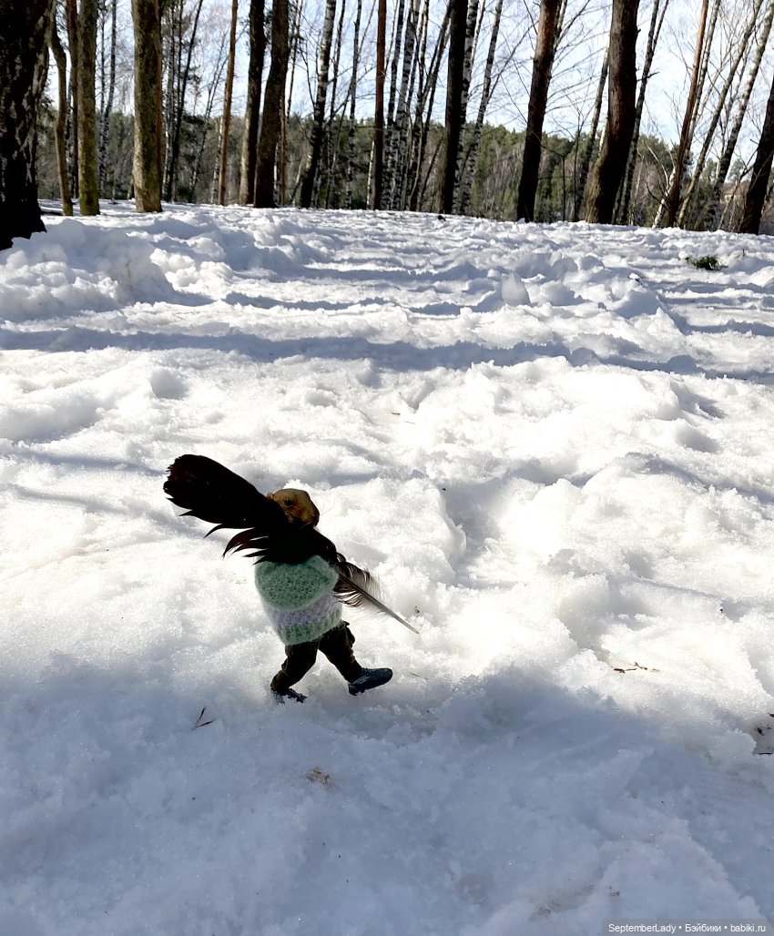 Прогулка по лесу — Коллекционные экшн (фото 10)