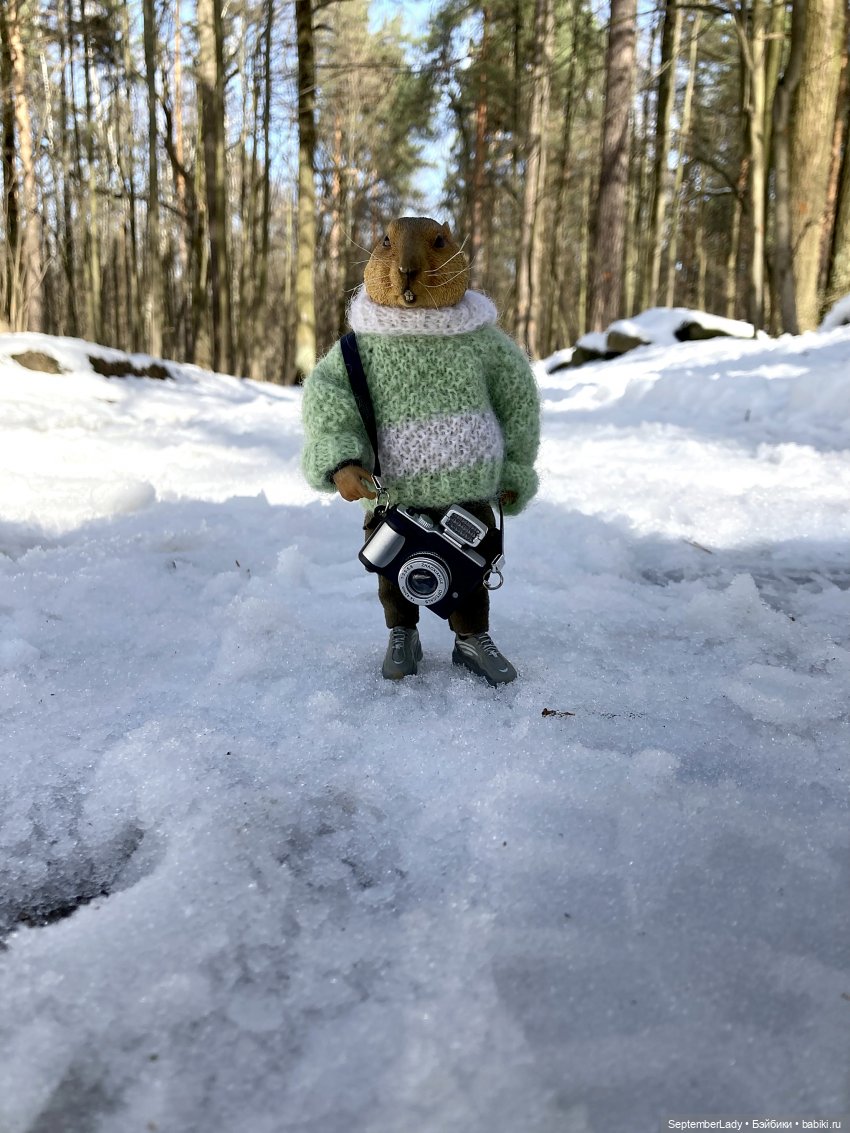 Прогулка по лесу — Коллекционные экшн